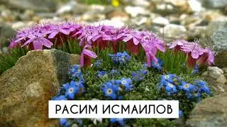 Расим Исмаилов - Рик|ин Сирер