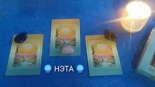 🔮 Совет на данный момент. Нэта
