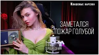 Заметался пожар голубой - Квашеная (cover  Сергей Есенин)