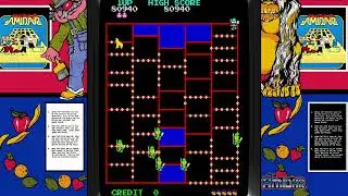 Amidar arcade