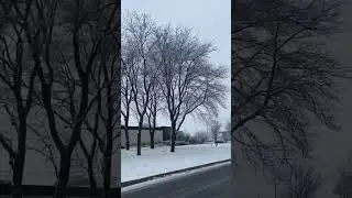 Snow ❄️ time 