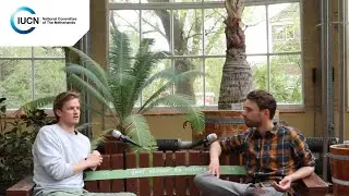 De fietsende vogelaar: Een interview tussen Koen de Geus en Arjan Dwarshuis