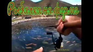 Ала Балык Рыбалка на форель. Рыбалка на форелевой ферме.