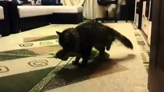 Душит змею=)