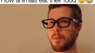 How Animals Actually Eat Their Food