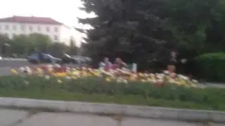 Мама ама криминал