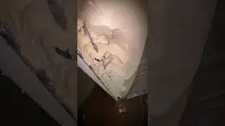 Как раскурочить холодильник #ремонтхолодильников
