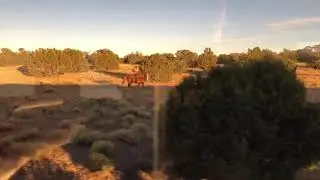 Train Robbery on the Grand Canyon railway!
