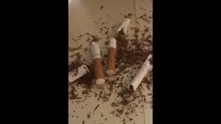 Quit Smoking PRANK On Dante’s Mom ( EXTREMELY FUNNY )