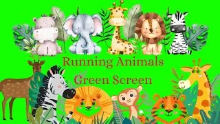 Green Screen Running Subject Animals