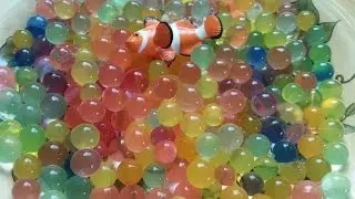 Делаем орбизы Em is making gel balls ORBEEZ