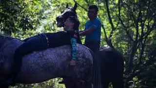 400  Man on the  horse   Smart horse with man