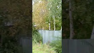 летняя красота уходит 😟