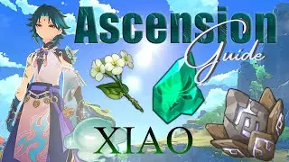 Xiao Ascension Guide ✦Genshin Impact✦