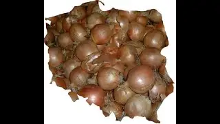 POLSKA TO TRUDNY JĘZYK