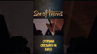 Пока обезьяна)  Sea of Thieves #shorts