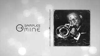 Producer Dojo - Brass / Trumpet Samples Vol. 1 [FREE SAMPLE PACK]