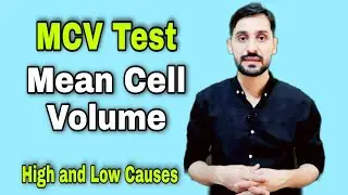 MCV Test | Mean Cell Volume | High and Low Causes | Purpose of MCV