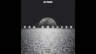 Lil Temo - Dreamer