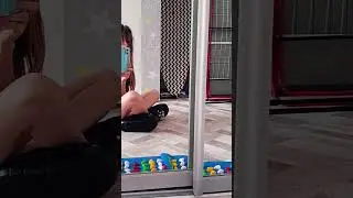 я начала заниматся квадробикой😽