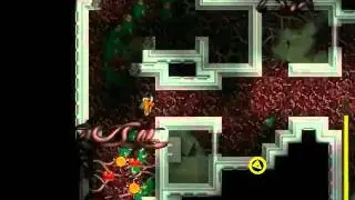 Hostile Spawn Guide, levels 9 -10 (Regicide, Escape) - Killing the queen