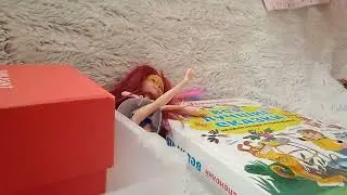 семья
