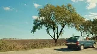 ford. - Nuovo Vita (Visualizer)