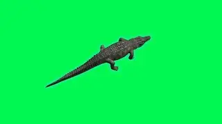 Crocodile 3D Animation - Free Green Screen Video