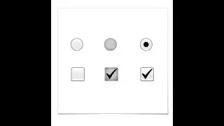 How to set checkbox and radio button in Html || Knowledge Web