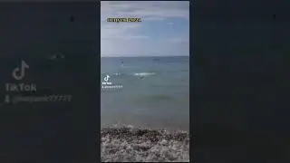 10 декабря 2021 г.
