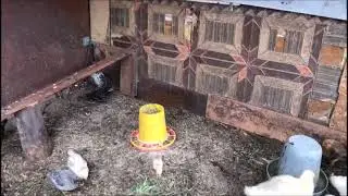 А я всё не расту и не расту...
