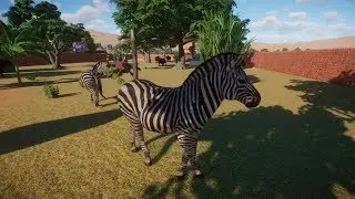 Planet Zoo (PC)(English) #77 6 Minutes of Plains Zebra