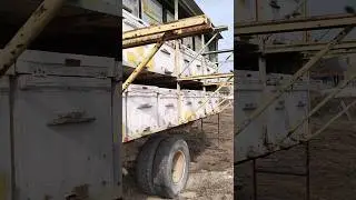 весна пришла во второй раз в этом году