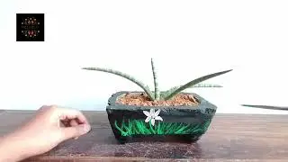 Easy flower pot decor#easy #pot #crafts #decor