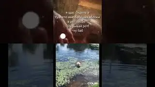 Яблоки в рот пихает 🍏🍎