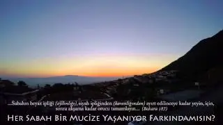 Fecr 2, Her Sabah Gün Doğumu Bir Mucize