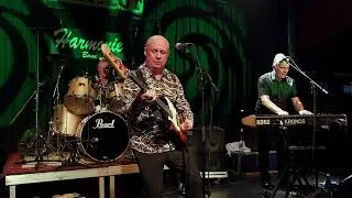 THE FORTUNES • The Sun Ain't Gonna Shine (Anymore) (HQ)