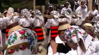 Haine taranesti.avi