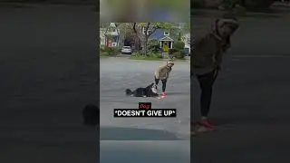 This dog is really relaxed...