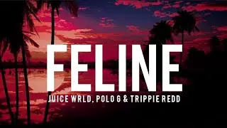 Juice WRLD - Feline (Lyrics) (with Polo G & Trippie Redd)