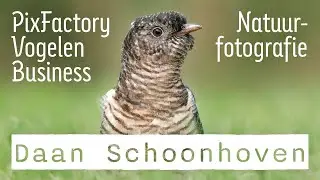 in GESPREK met: Daan Schoonhoven | "de Unilever van natuurfotografie"