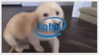 Puppy Falls Downstairs Effects (Sponsored by Preview 2 Effects)