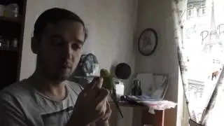 Поедание малины с Кешей