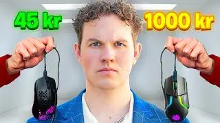 45 kr VS. 1000 kr Gaming Mus