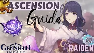 BAAL~Raiden Ascension Guide~2.1Amakumo Fruit and Storm Beads