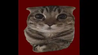 Timeline 13 testing owah