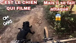 mon chien se fait attaquer par un autre chien // c’est le chien qui filme
