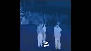 [Loopkit/Sample Pack] my best darkwave + post punk + shoegaze loops from 2023