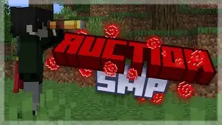 The Auction SMP- Applications Closed