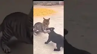 Рррррммммяяяуууу...